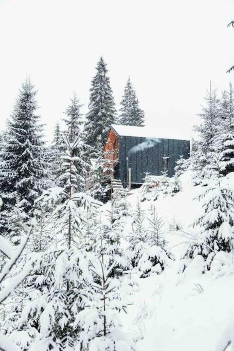 Шале Dereva Yablunytsya Exterior photo